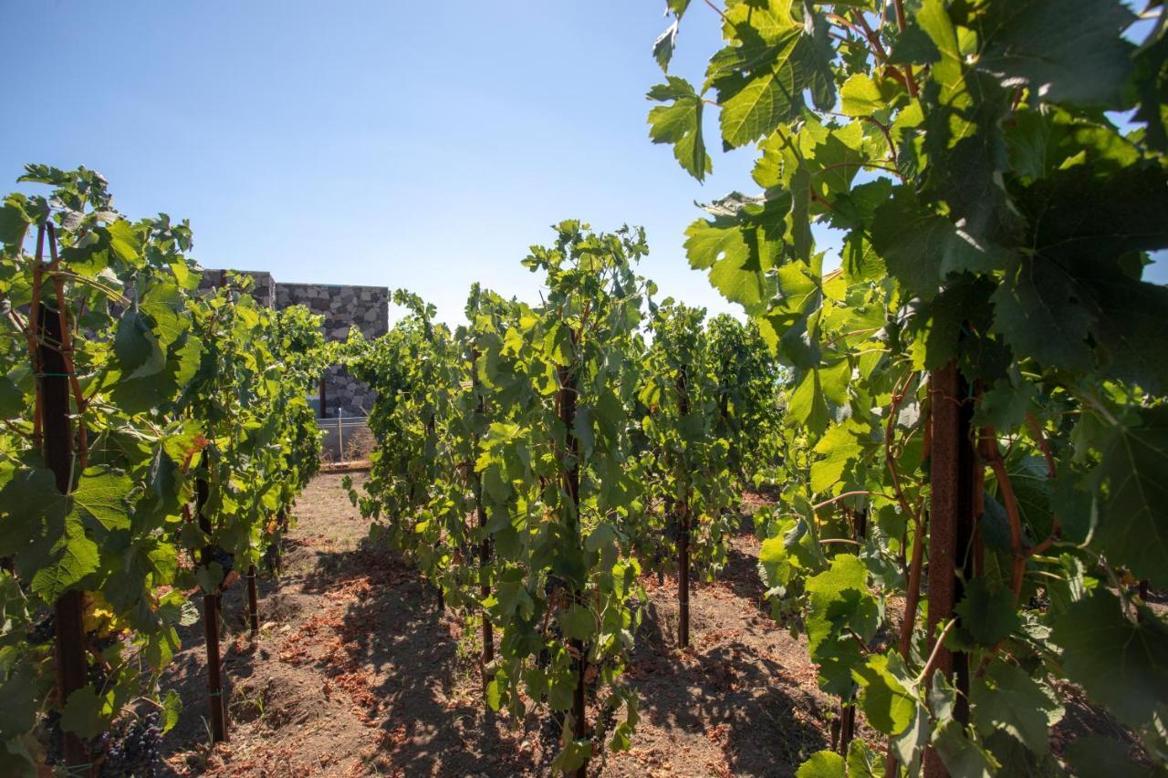 Tenuta Di Castellaro Winery & Resort ลีปารี ภายนอก รูปภาพ